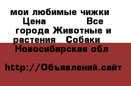 мои любимые чижки › Цена ­ 15 000 - Все города Животные и растения » Собаки   . Новосибирская обл.